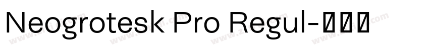 Neogrotesk Pro Regul字体转换